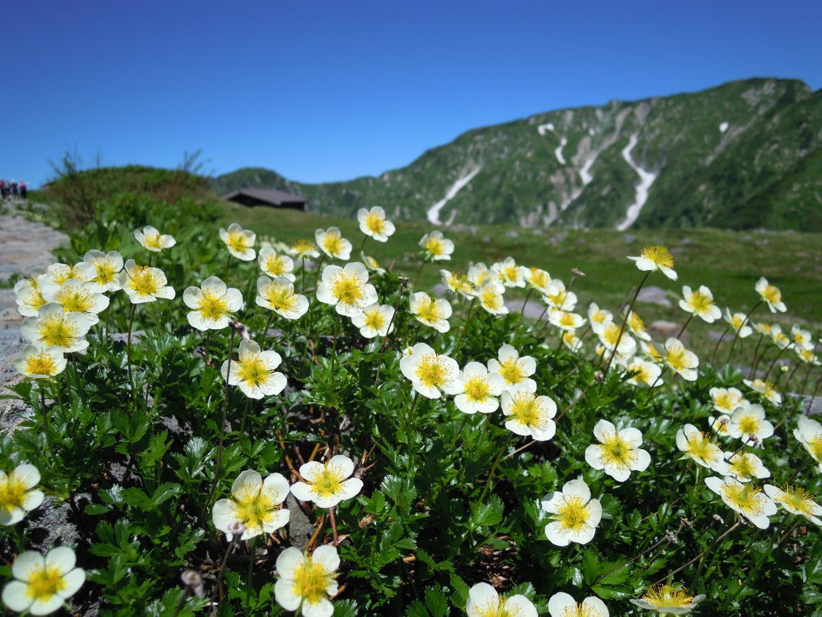 Tateyama Kogen Hotel Тояма Экстерьер фото