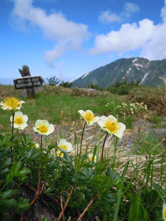Tateyama Kogen Hotel Тояма Экстерьер фото